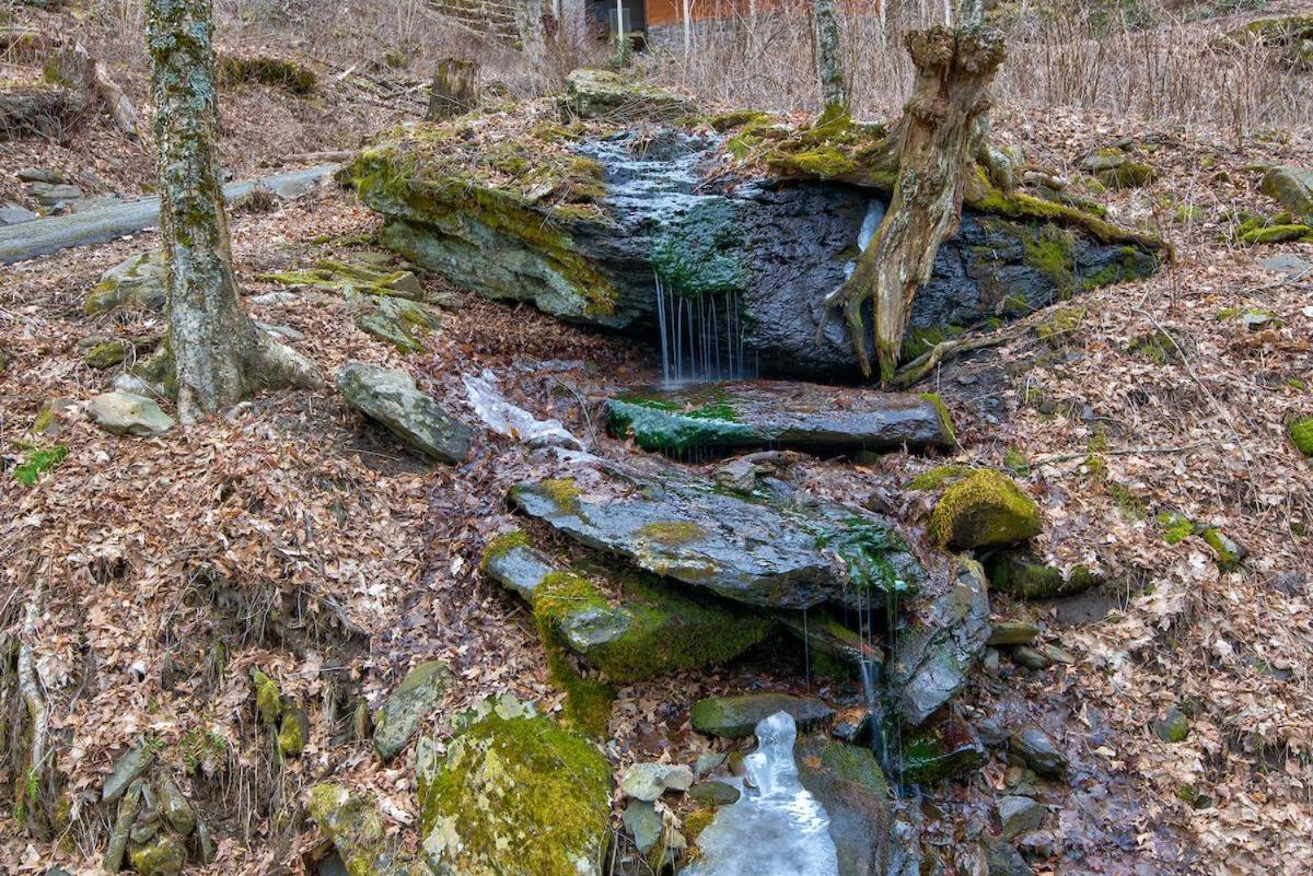 Rested Traveler Blowing Rock Exteriör bild